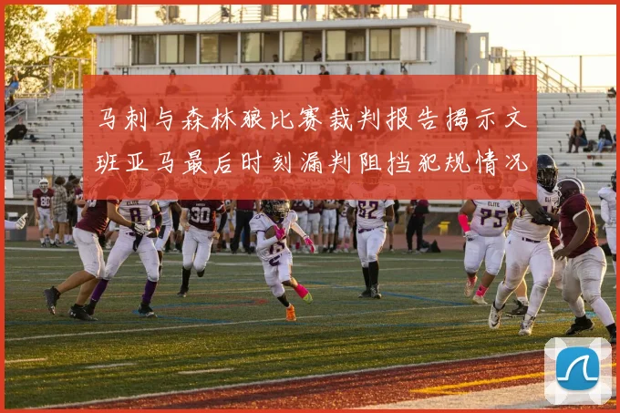 马刺与森林狼比赛裁判报告揭示文班亚马最后时刻漏判阻挡犯规情况