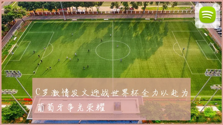 C罗激情发文迎战世界杯全力以赴为葡萄牙争光荣耀
